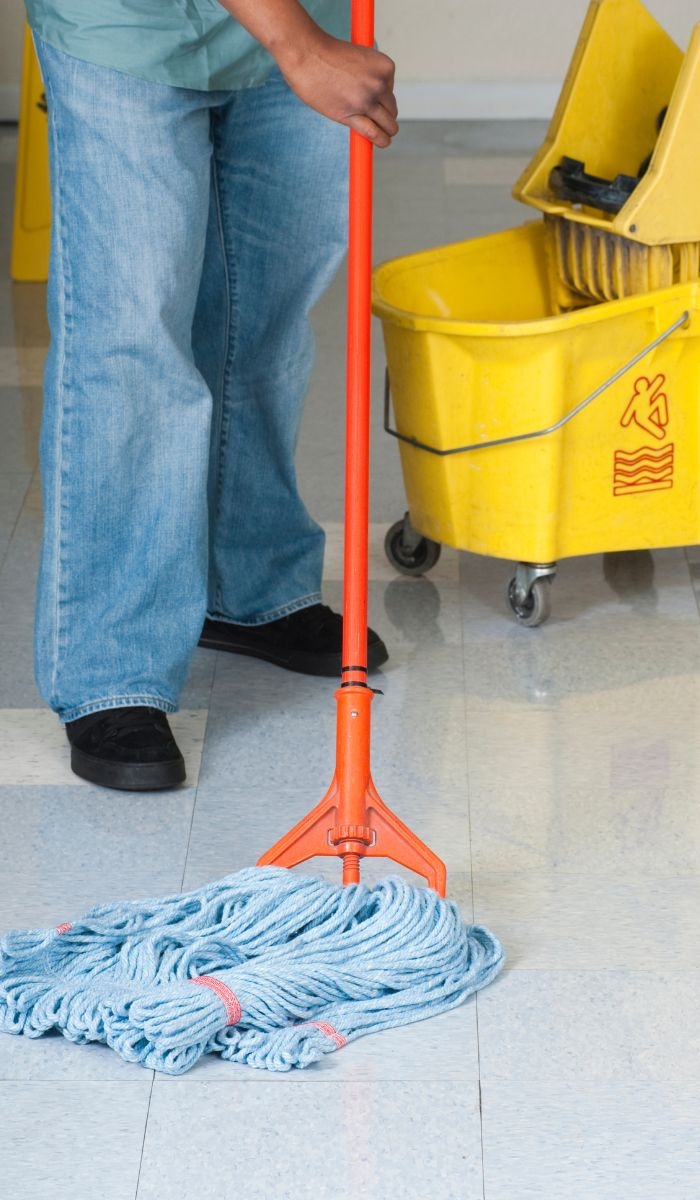 What steps can I take to maintain cleanliness between professional cleanings?